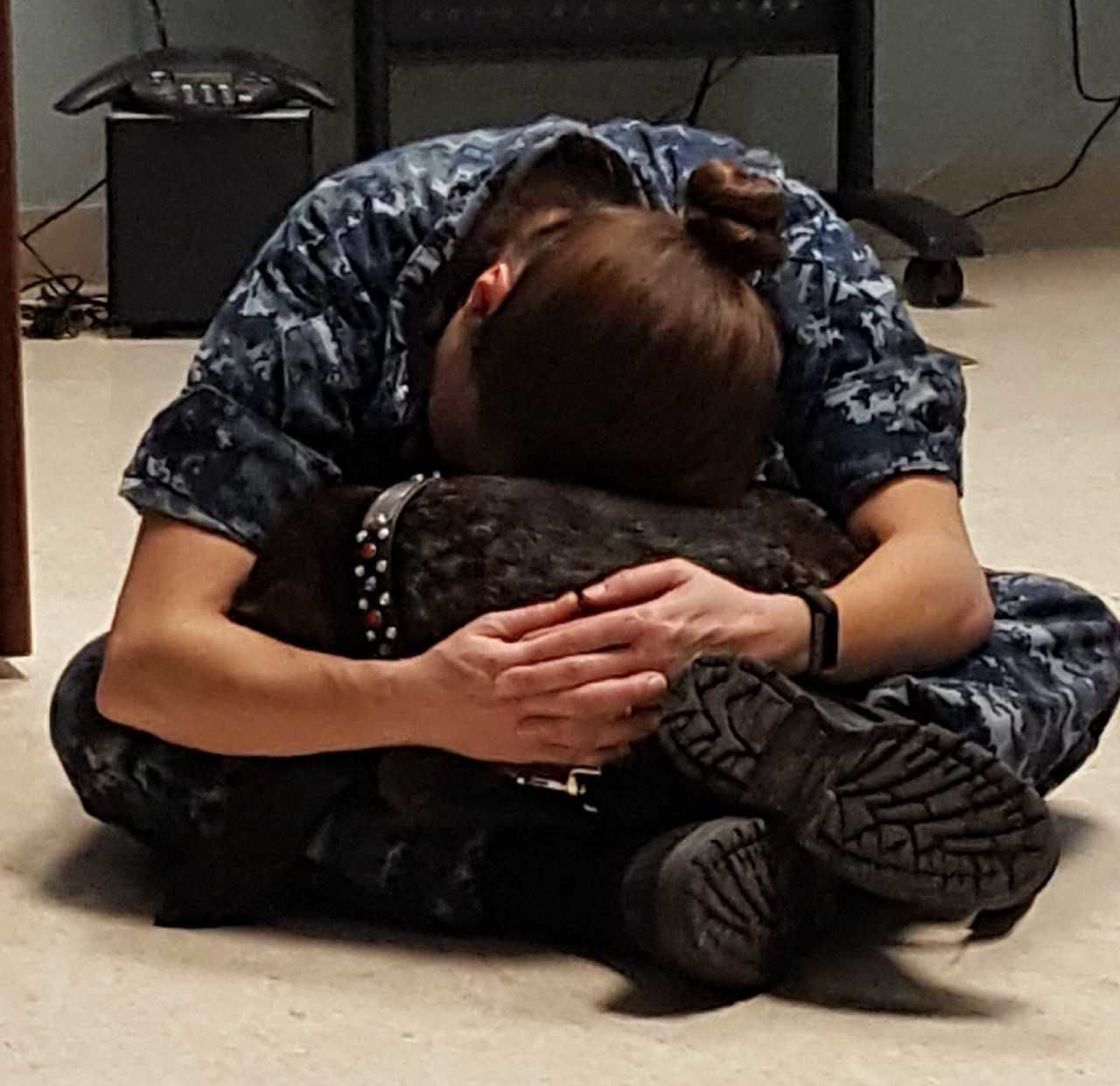 K9 Caring Angels (1).jpg